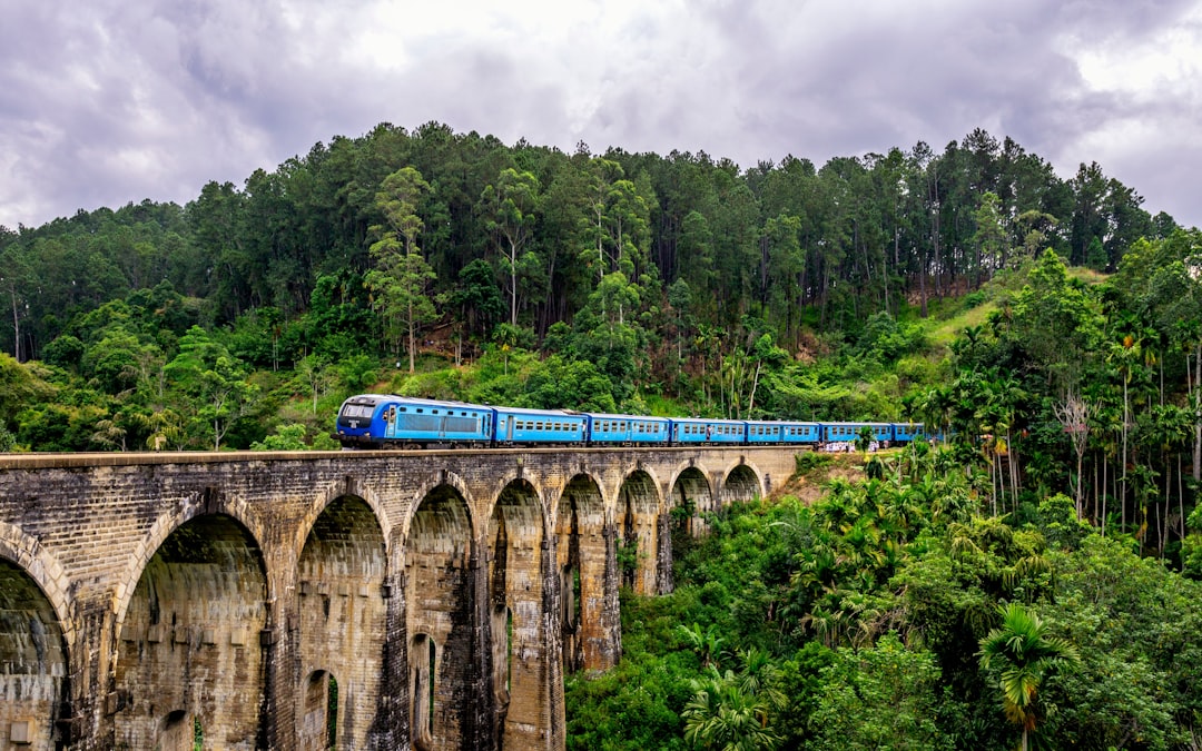 Best Time to Visit Sri Lanka — Month by Month Guide